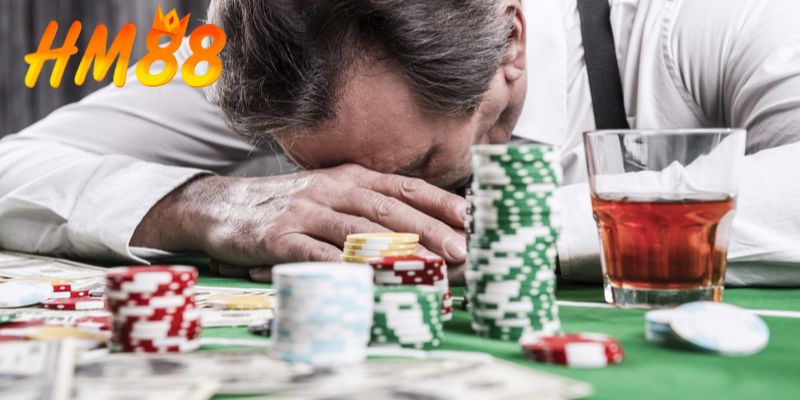 Những con số chứng minh năng lực của HM88